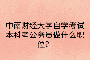 中南财经政法大学自学考试本科考公务员做什么职位？