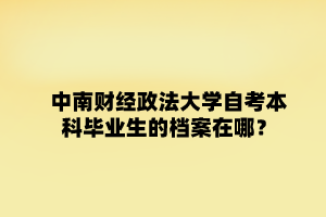 中南财经政法大学自学考试本科毕业生的档案在哪？