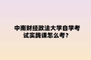 中南财经政法大学自学考试实践课怎么考？